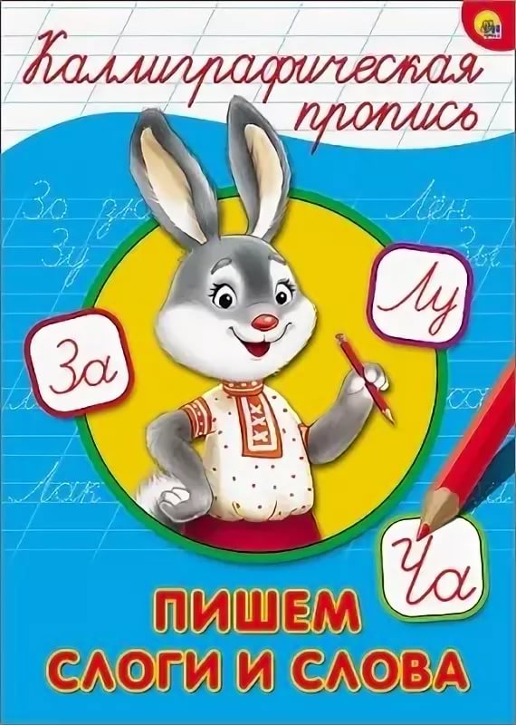 Каллиграфическая пропись А4 Проф-Пресс 'Пишем слоги и слова'