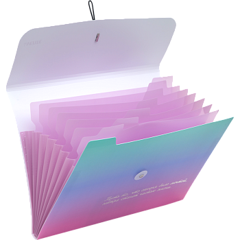 Папка с резинкой deVENTE, DEGRADE, А4, 8 отделений, 3070234